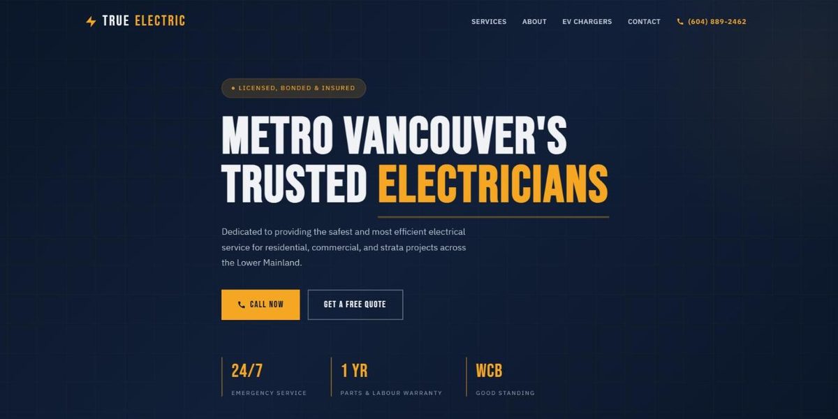 True Electric website design concept